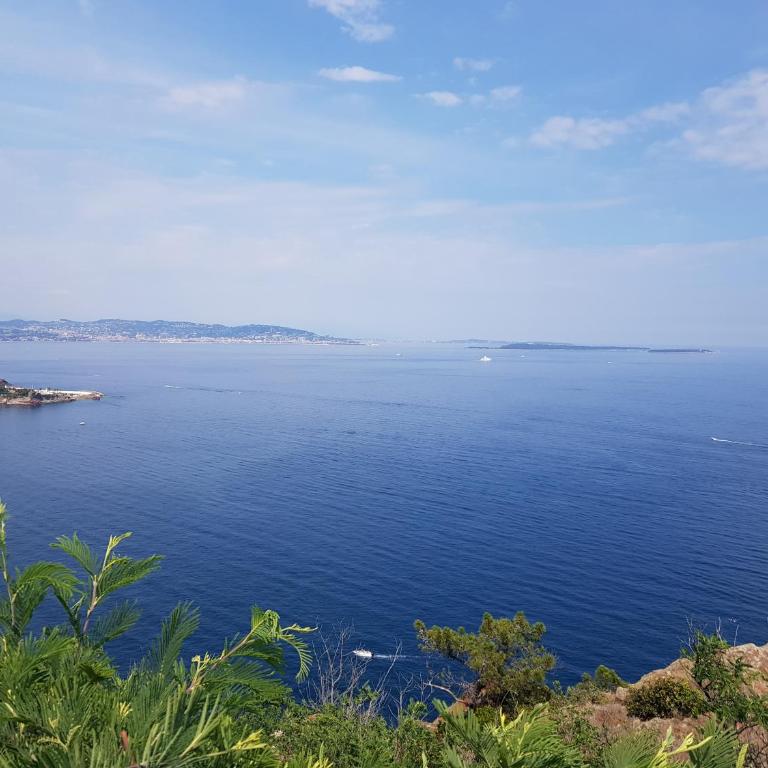 Nid douillet refait à neuf, proche de la mer - Appartement 1 Chambre - 12