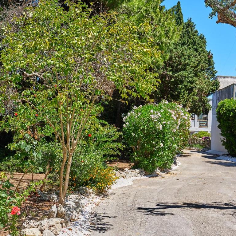 Tenuta Belvedere - Appartement Supérieur 2 Chambres - 26