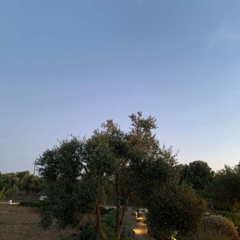 Villa Eva, villa privata con piscina a sfioro - Villa - 55