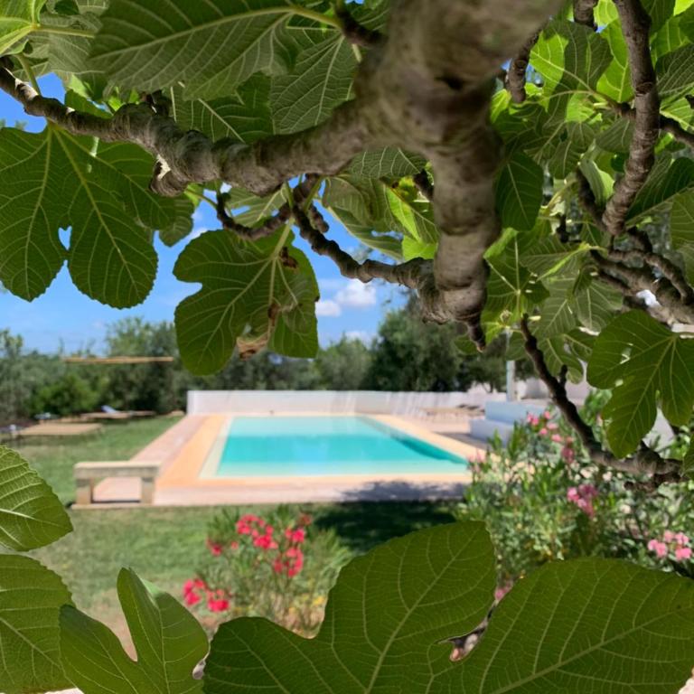 Villa Eva, villa privata con piscina a sfioro - Villa - 58
