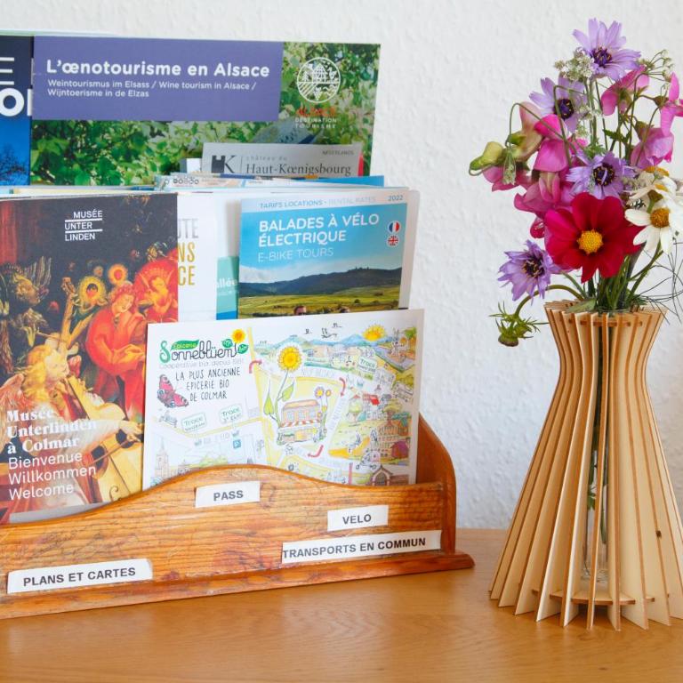 Colmar Friends and Familly guest home - COLMAR Gare - Jardin - Combles et Vous - Appartamento con Vista Giardino - 57
