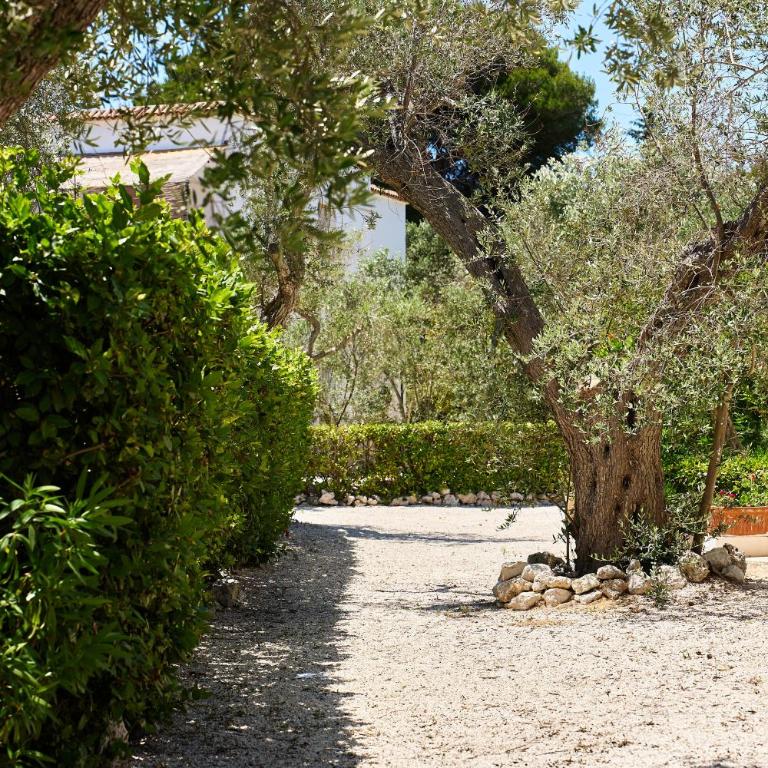 Tenuta Belvedere - Appartement Supérieur 2 Chambres - 34