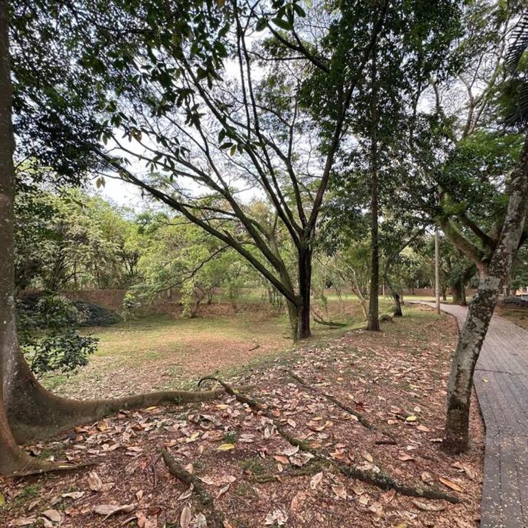 Hermoso Apartamento Sur Ciudad Jardin Piscina - Apartamento de 1 dormitorio - 31