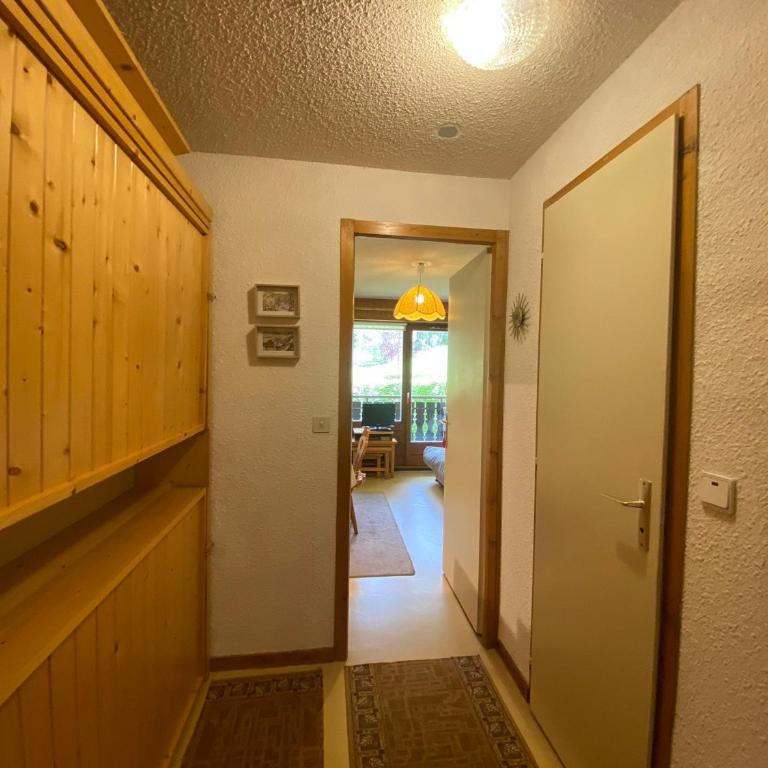 Châtel: Appartement 2 Pièces, Balcon, Parking, WIFI, Animaux OK - FR-1-198-265 - Apartment - 5