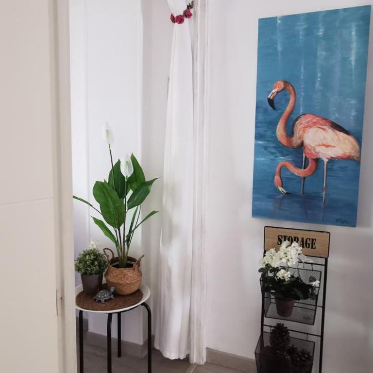 Salou luz y color - Apartamento - 8