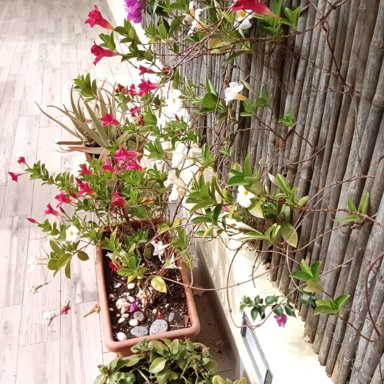 Casa Vacanze Eloise - Casa con 3 Camere da Letto - 18