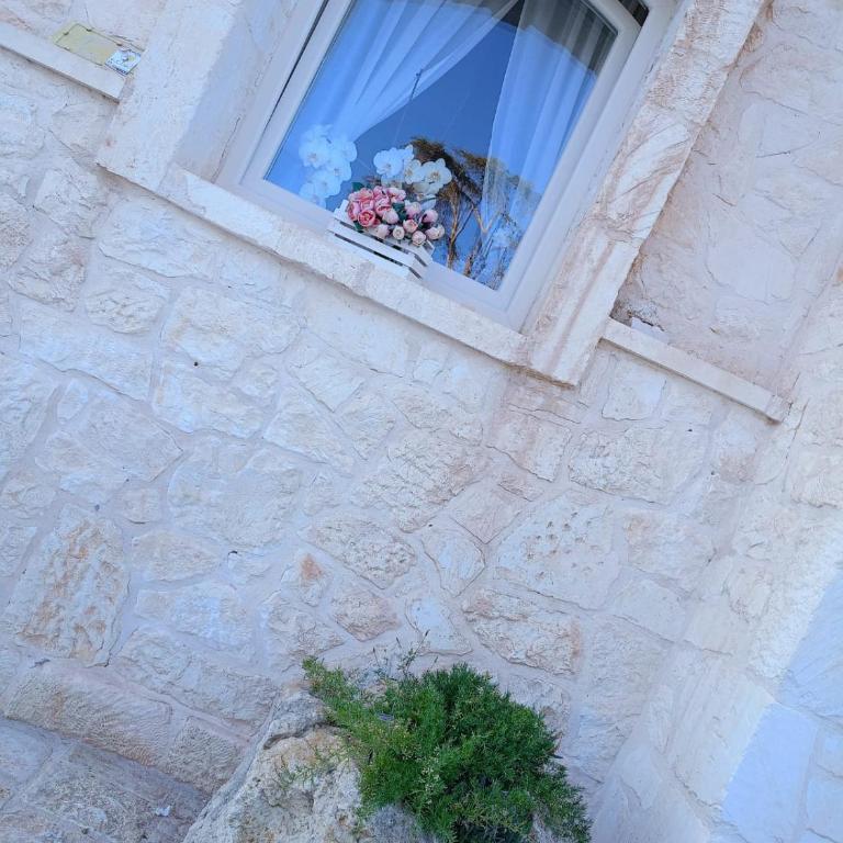 Villa Brachychiton - Casa Vacanze con 3 Camere da Letto - 57