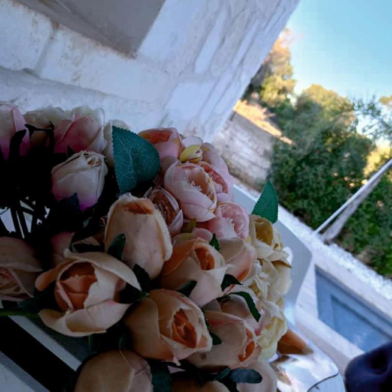 Villa Brachychiton - Casa Vacanze con 3 Camere da Letto - 60