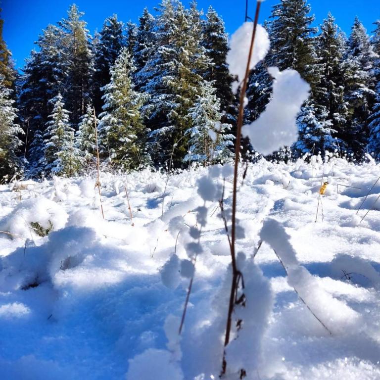 Vila Dajana Zminica - Two-Bedroom House - 64