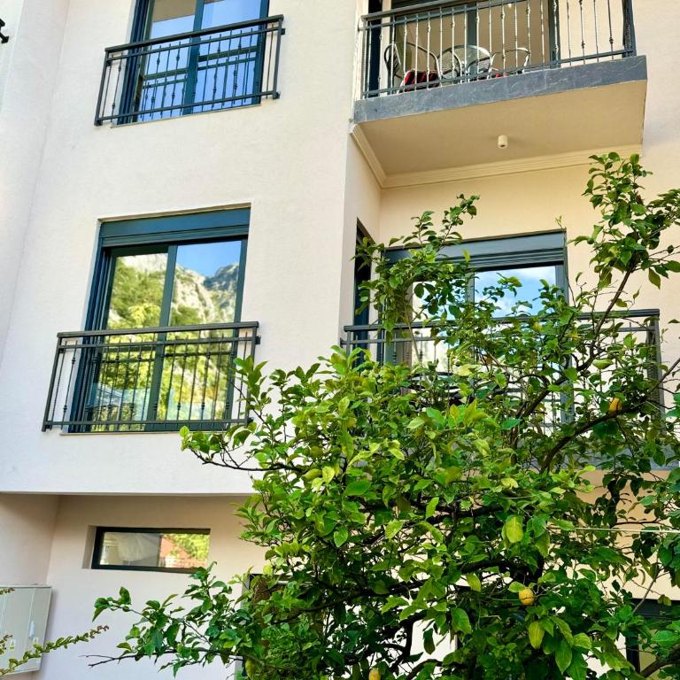 Harmony Garden Apartments - Apartment - 18