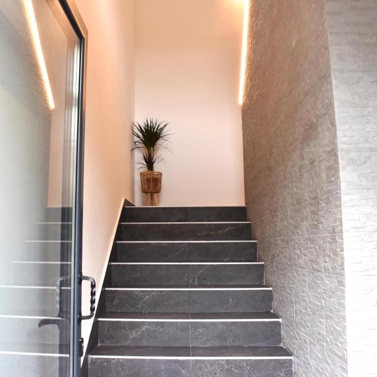 Harmony Garden Apartments - Apartment - 26