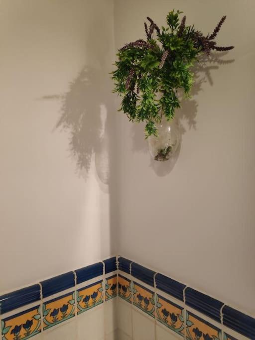 Precioso piso en zona centro - Alcalá1 - Apartamento de 2 dormitorios - 17