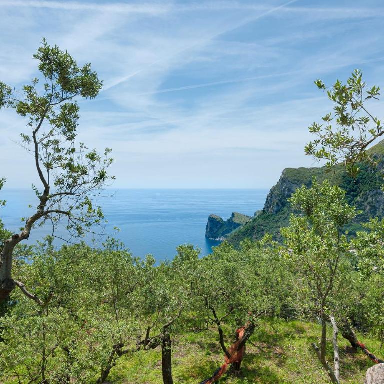 Villa Saretta Amalfi Views Pool & Guest Services by Feeling Italy - Villa - 2