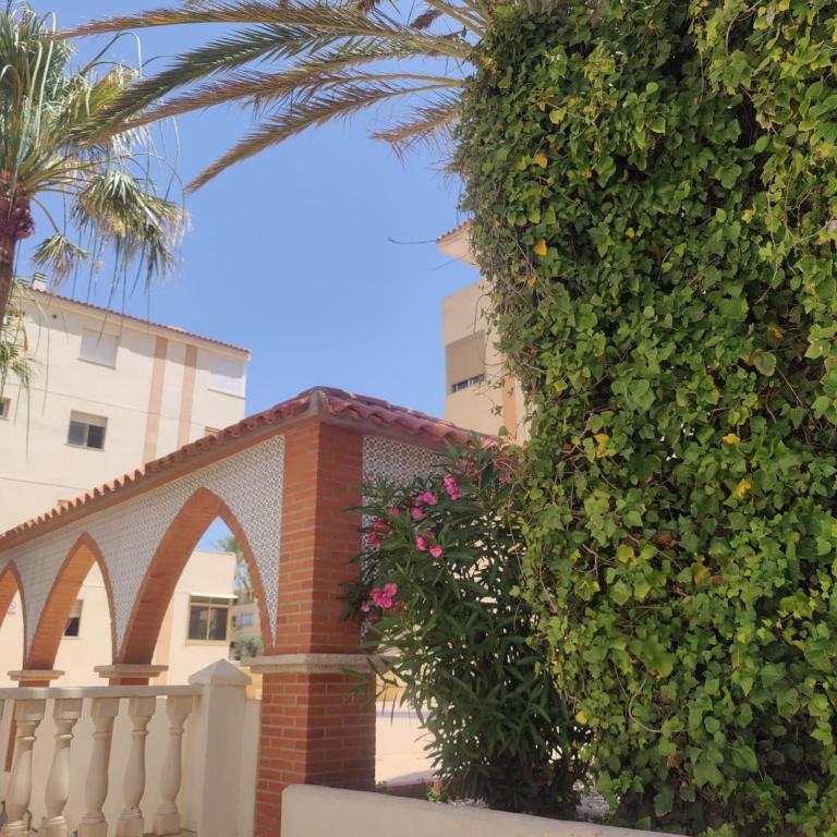 VRC Oasis - La Manga - Apartamento de 1 dormitorio - 24