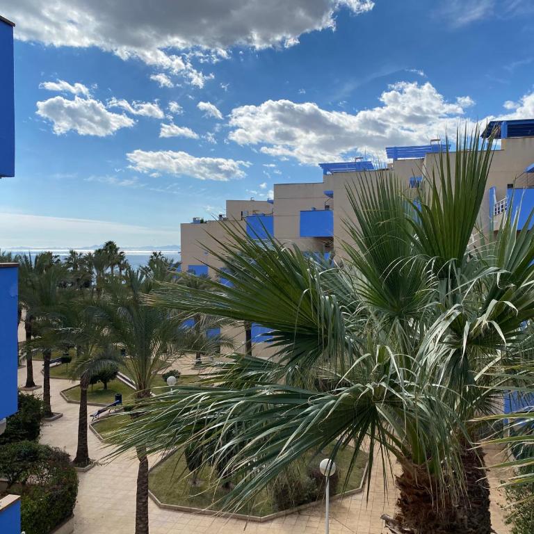 Calas de Aguamarina Sea View - Holiday Home Cabo Roig - Apartamento de 2 dormitorios - 16