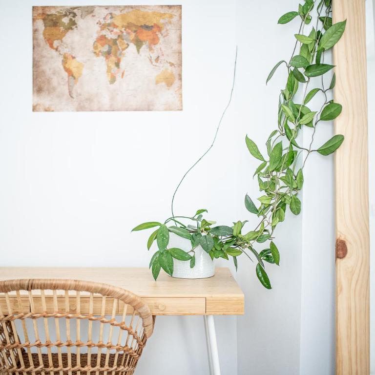 2nd in the 14 Alvarez Street - Apartamento de 3 dormitorios - 6