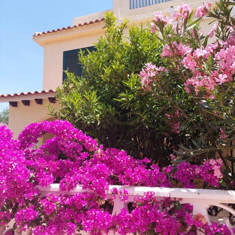 Haus am Meer - Casa de 2 dormitorios - 25