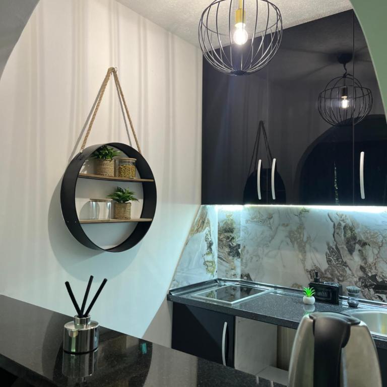 Central Botanic Apartment - Apartman sa 1 Spavaćom Sobom - 17