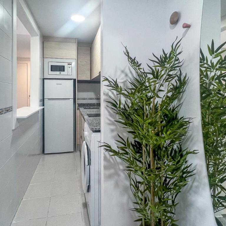 OleHolidays Costabella 2 junto al mar - One-Bedroom Apartment - 8
