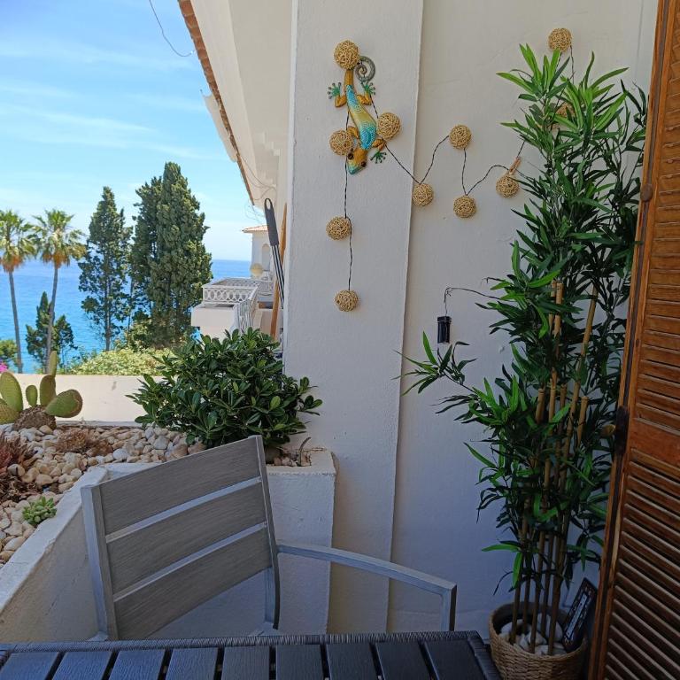 carabeo perla POOL CENTRO - Two-Bedroom Apartment - 1