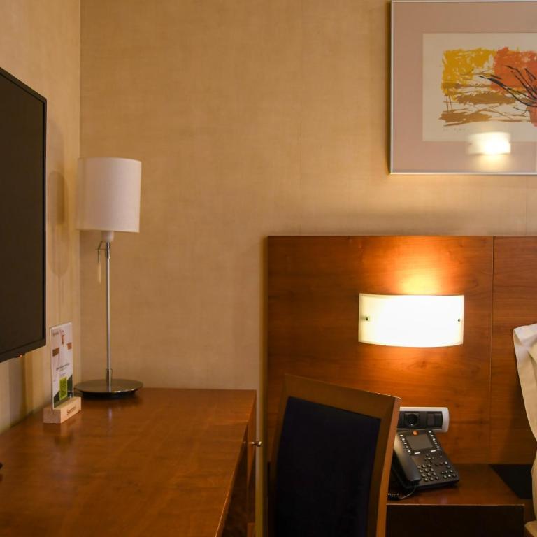 Sercotel Palacio de Tudemir - Habitación Individual - 6