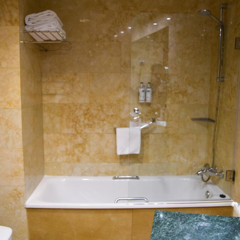 Sercotel Palacio de Tudemir - Habitación Individual - 3