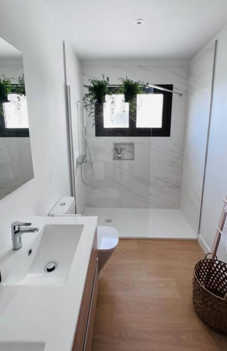 Apartamento Sueño del Drago - Apartamento de 1 dormitorio - 6
