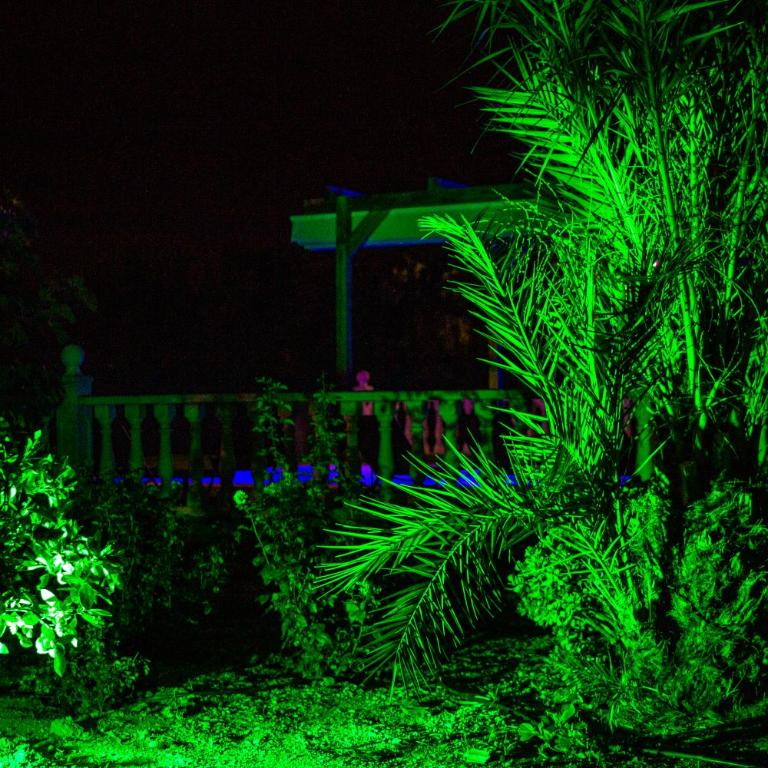 Finca moderna en ambiente rural, Agost - Villa - 17