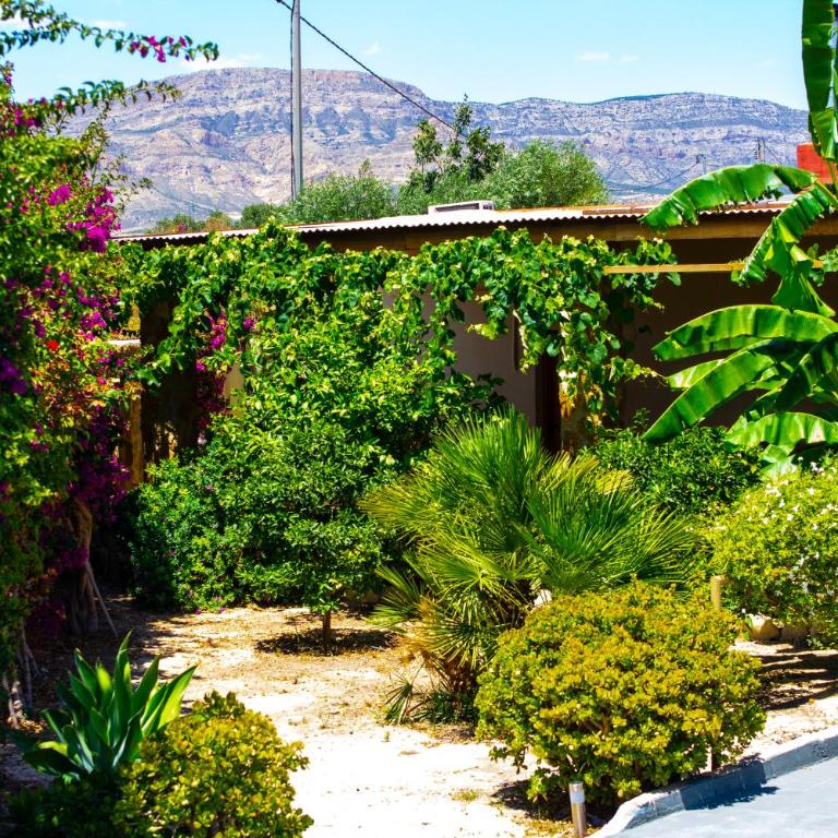 Finca moderna en ambiente rural, Agost - Villa - 34