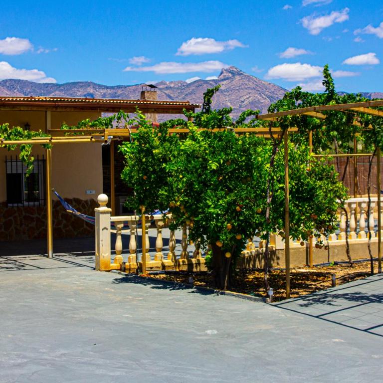 Finca moderna en ambiente rural, Agost - Villa - 36