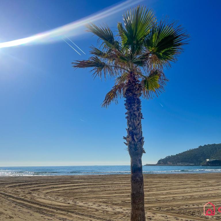 Cala Concha - Apartamento de 2 dormitorios con terraza - 12