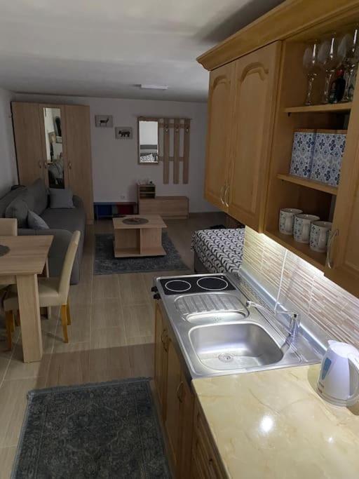 Zaovinski kutak - studio apartment 30m2 - Apartman sa Pogledom na Jezero - 30