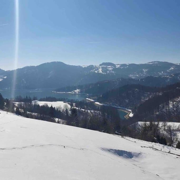 Zaovinski kutak - studio apartment 30m2 - Apartman sa Pogledom na Jezero - 17