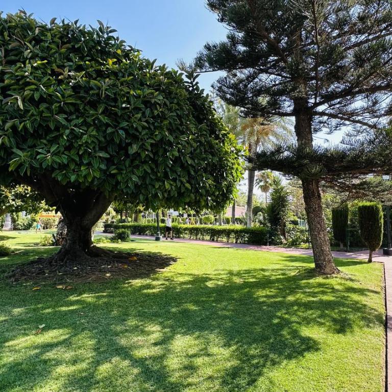 Marbella Studio Golden Mile - Apartamento Estudio - 30