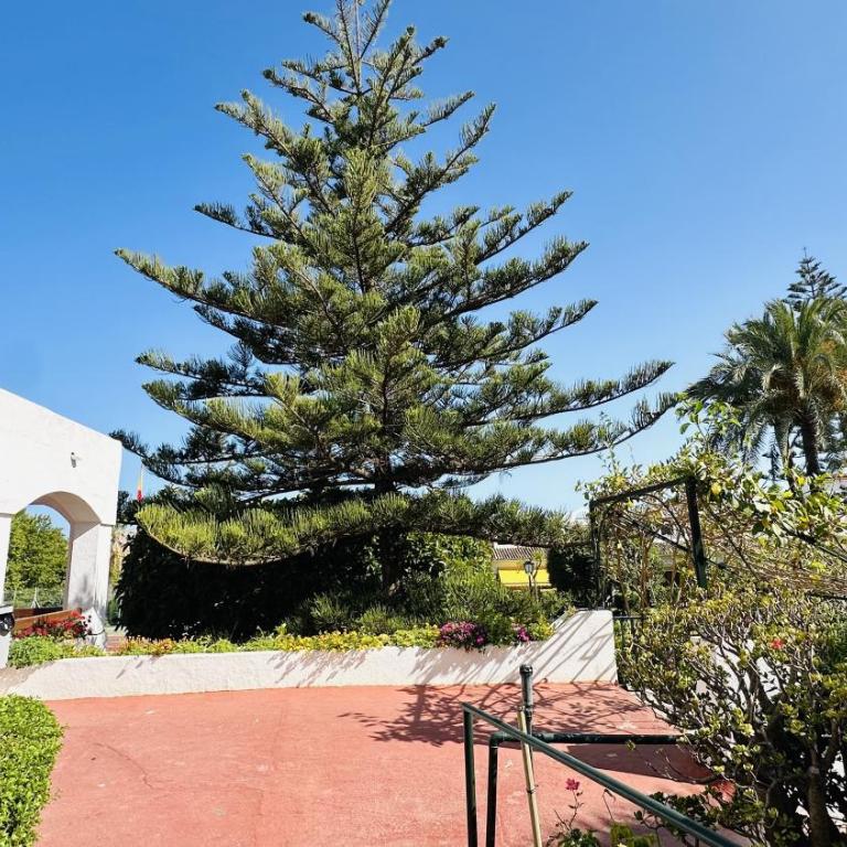 Marbella Studio Golden Mile - Apartamento Estudio - 31