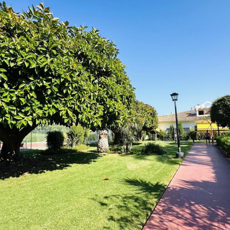 Marbella Studio Golden Mile - Apartamento Estudio - 32