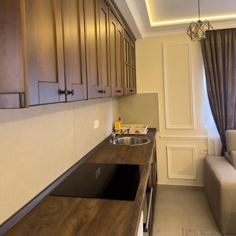 Apartmani Vila Zabljak - One-Bedroom Villa - 2