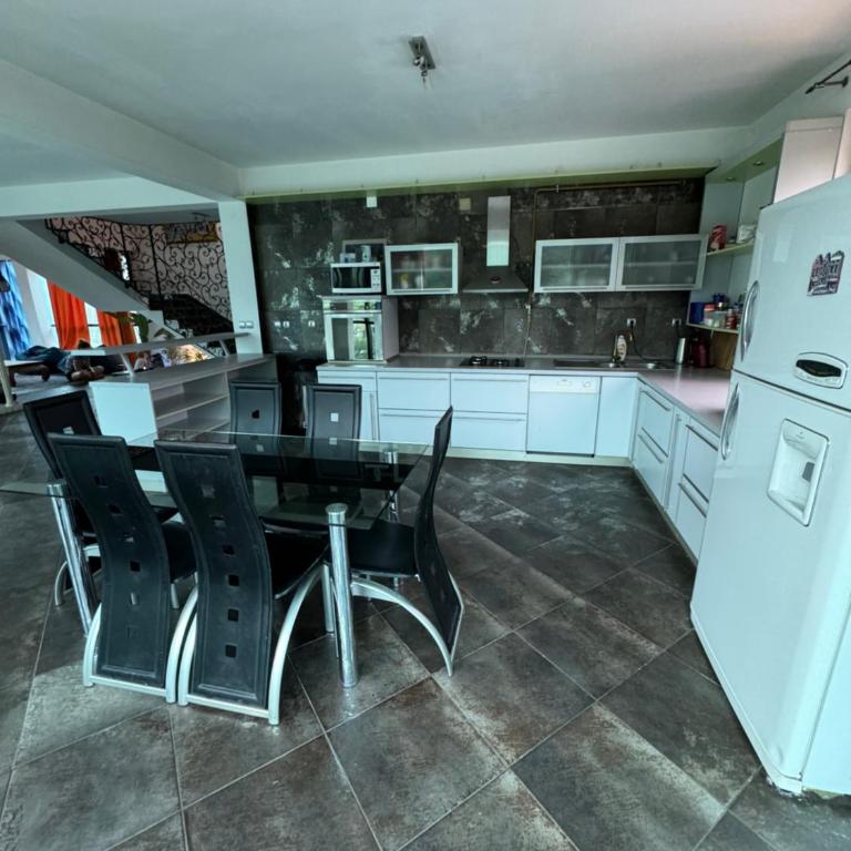 Sarajevo Deluxe penthouse and pool - Apartman sa 3 Spavaće Sobe i Sopstvenim Bazenom - 35