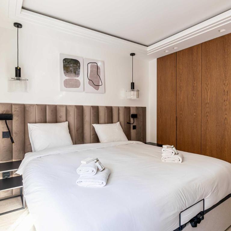 Luxurious Apartment- Croisette-Carré d'Or - Apartamento - 8