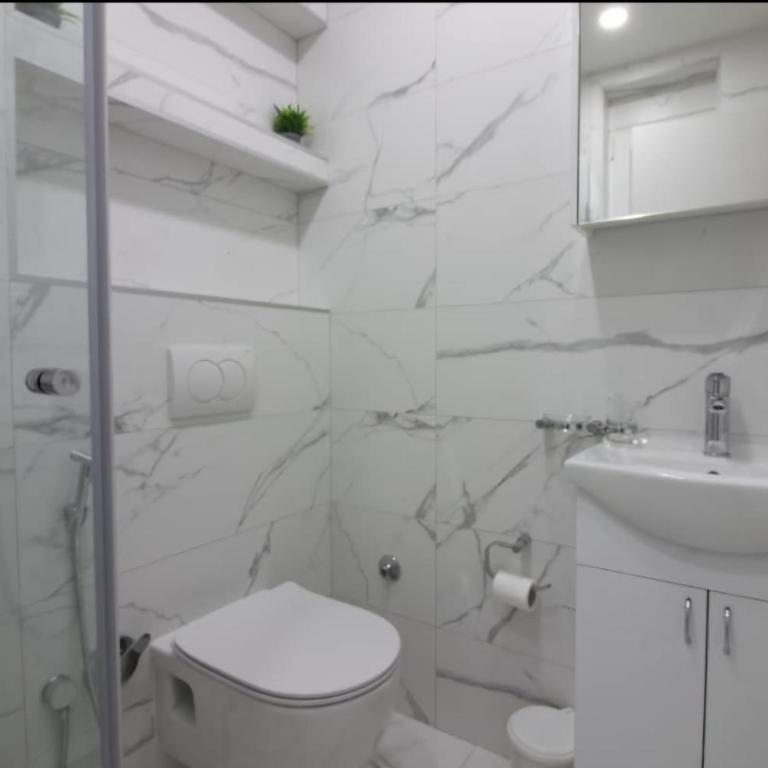 Cosmopolitan apartment - Apartman sa 2 Spavaće Sobe - 4