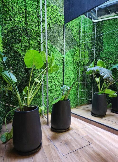 Gazania Beautiful Apartment - Apartamento de 1 dormitorio - 33