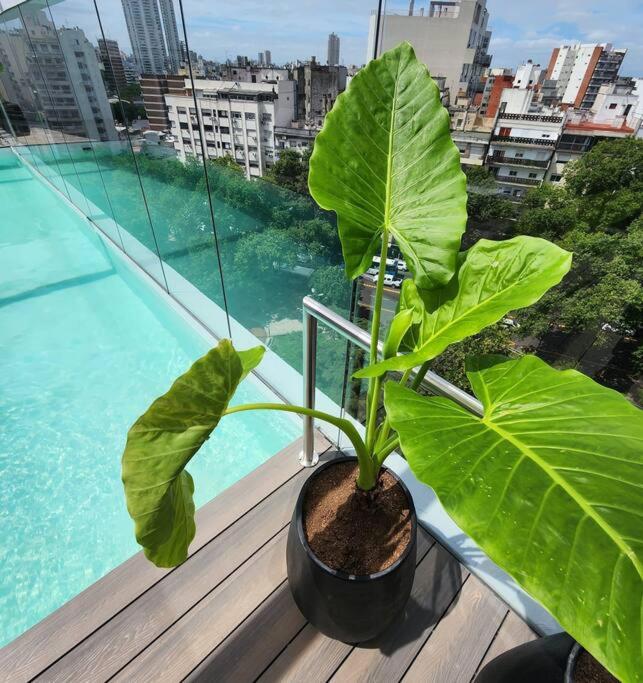 Gazania Beautiful Apartment - Apartamento de 1 dormitorio - 61