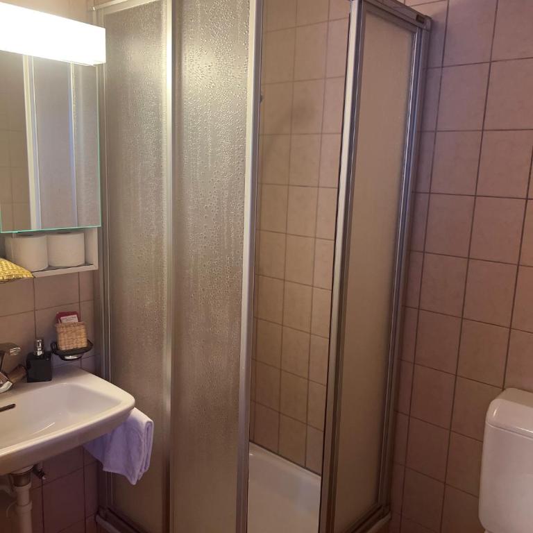 Hotel Grimsel - Budget Doppelzimmer - 2