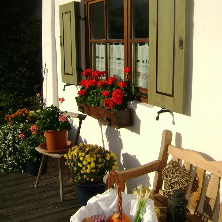 Ferienwohnung Wein - Apartment mit 1 Schlafzimmer - 12