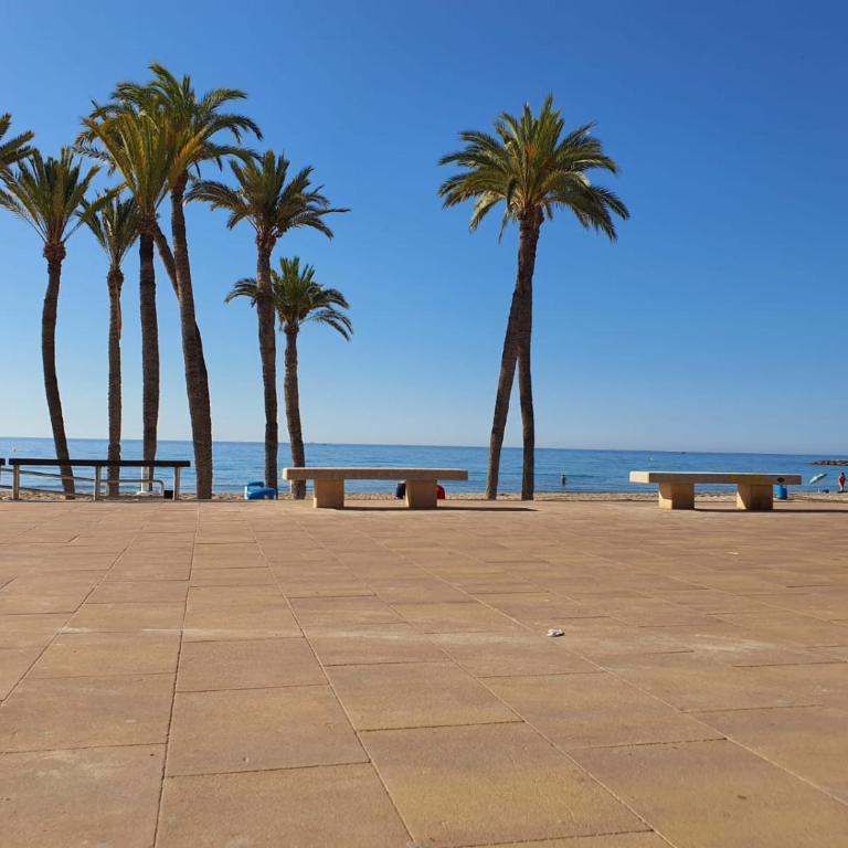 Apartamento San Agustín Playa - Three-Bedroom Apartment - 30