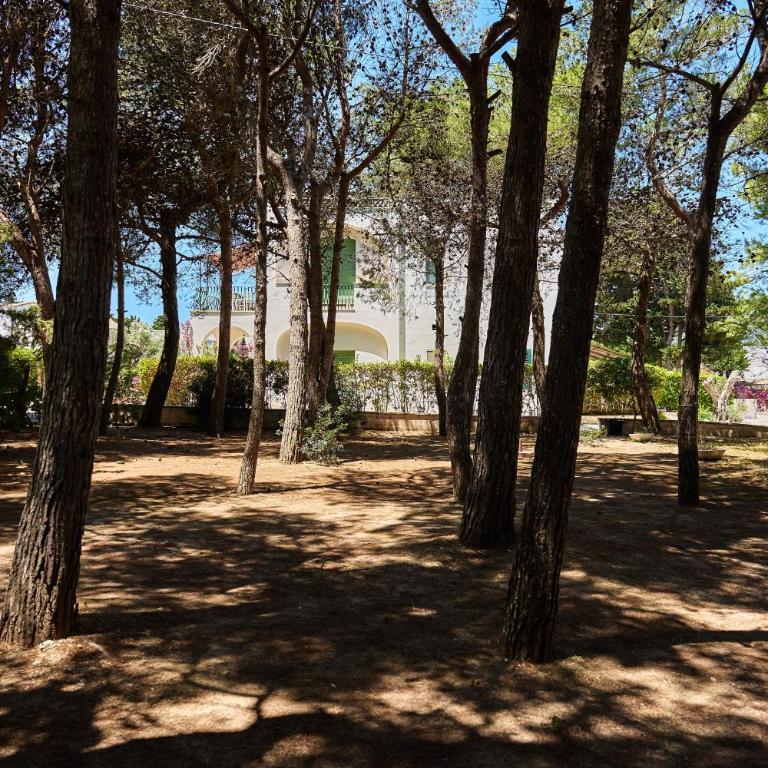 Tenuta Belvedere - Appartement Supérieur 2 Chambres - 30