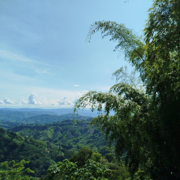 Mountain View Finca Campestre - Villa - 44