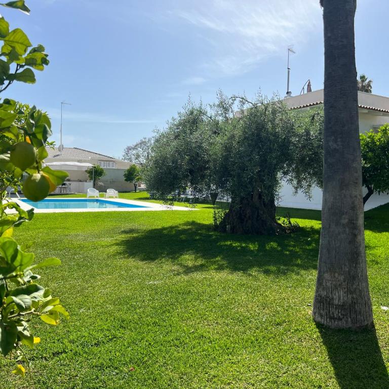 Villa Flavia - Casa Vacanze - 8