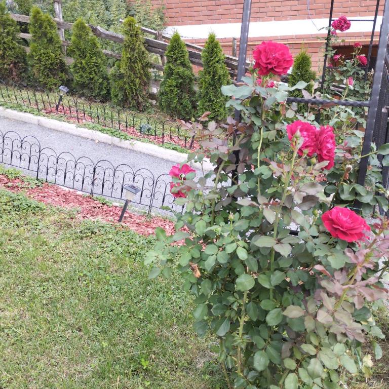 Apartment Sanja - Apartman sa 1 Spavaćom Sobom - 12