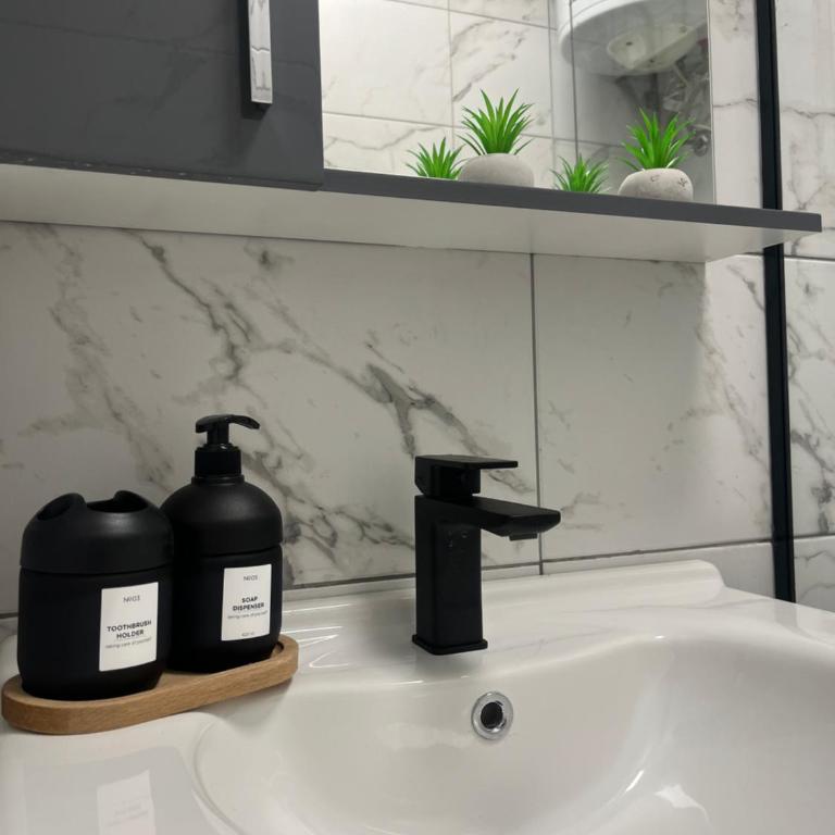 Central Botanic Apartment - Apartman sa 1 Spavaćom Sobom - 19
